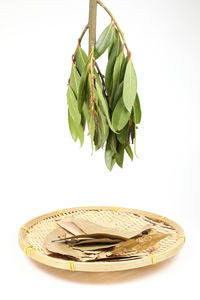 Close-up of fresh green leaves against white background