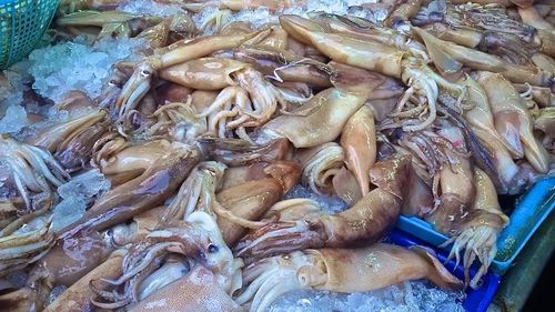 High angle view of cuttlefishes for sale in market