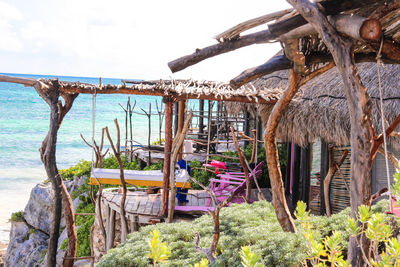 Plants growing on beach against sky