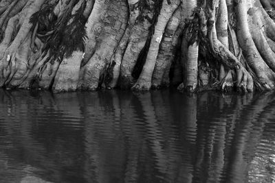 Close-up of rock formation in lake