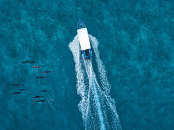 High angle view of person swimming in sea