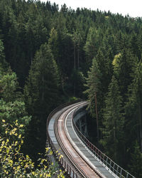 High angle view of railroad tracks amidst trees in forest