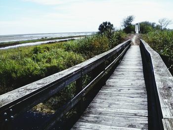 View of footpath along trees