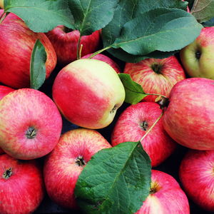 Full frame shot of apples