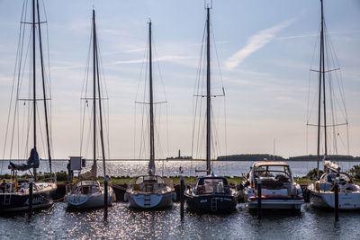 Sailboats moored in harbor