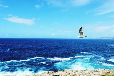 Seagull flying over sea against sky