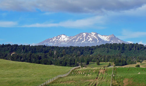 Scenic view of landscape against sky