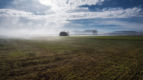 Scenic view of field against sky