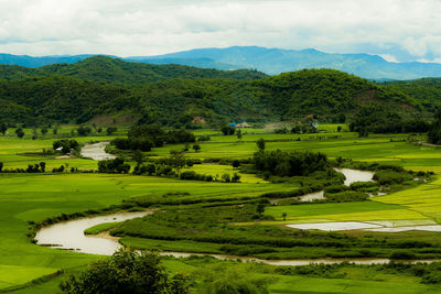 Scenic view of golf course against sky