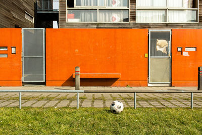 Soccer ball on grassy field against building