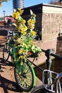 Bicycle by potted plant against building in city