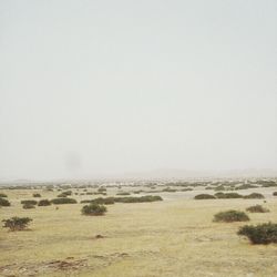 Scenic view of beach against clear sky