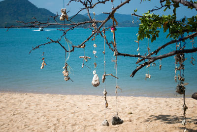 Koh nok island - thailand