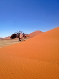 Idyllic shot of sand dune in desert against sky