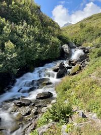 Scenic view of river amidst trees against sky