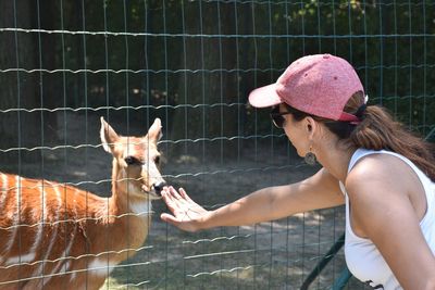 Midsection of woman with deer against fence in zoo