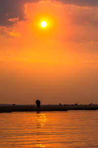 Silhouette man standing in sea against orange sky