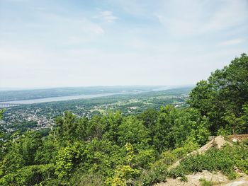 Scenic view of forest against sky