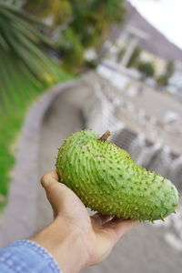 Close-up of hand holding fruit