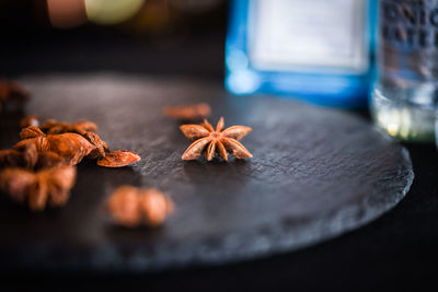 High angle view of leaves on table