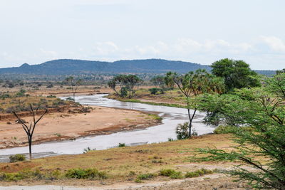 Ewaso ngiro river samburu national reserve, kenya