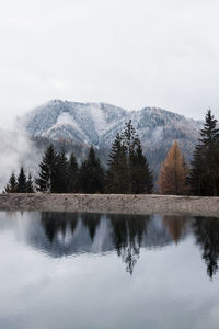 Scenic view of lake by trees against sky