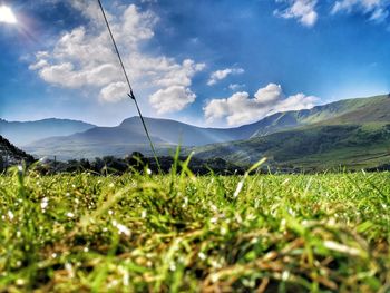 Surface level of field against sky