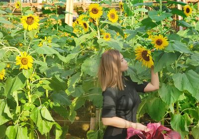 Side view of woman standing at sunflower farm