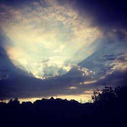 Silhouette trees against sky during sunset