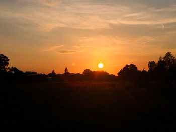 Silhouette of trees at sunset