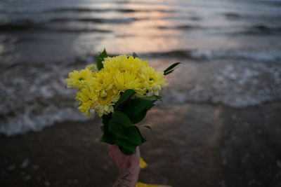 yellow