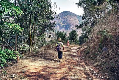 Person walking on mountain