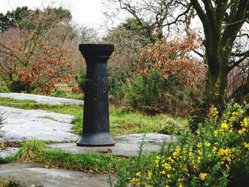 Fire hydrant by tree against plants