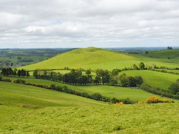 Scenic view of green landscape against sky