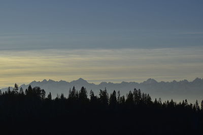 Silhouette trees against sky during sunset