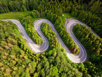 Winding road trough the forest