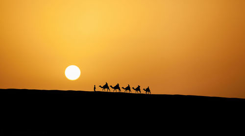 Low angle view of people riding camels at desert against clear orange sky