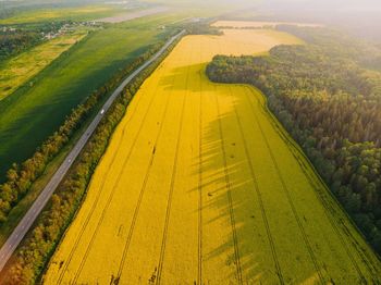 Scenic view of agricultural field