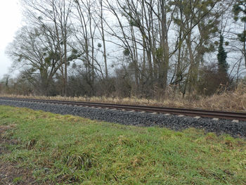 Railroad track amidst trees on field