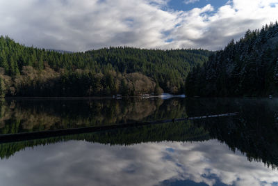 Scenic view of lake by trees against sky