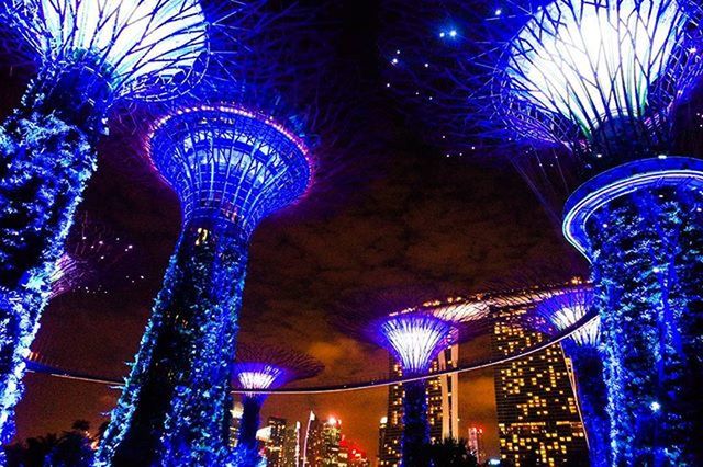 illuminated, low angle view, night, arts culture and entertainment, blue, amusement park ride, long exposure, built structure, amusement park, architecture, lighting equipment, multi colored, purple, firework display, celebration, glowing, famous place, motion, sky, travel destinations