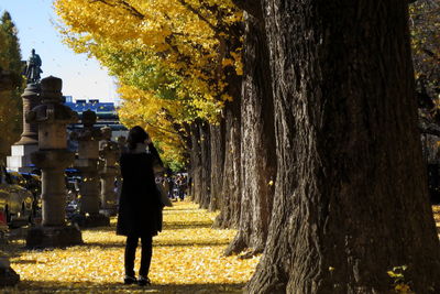 Rear view of man and woman walking on autumn leaves