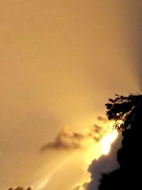 Low angle view of trees against orange sky