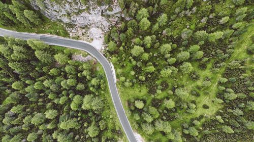 High angle view of car on road amidst trees