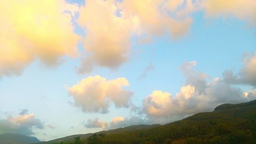 Low angle view of trees against sky during sunset