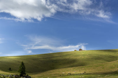 Scenic view of landscape against sky