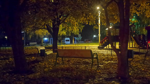 Trees in park at night