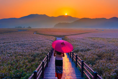 Rear view of woman with umbrella walking on footpath during sunset