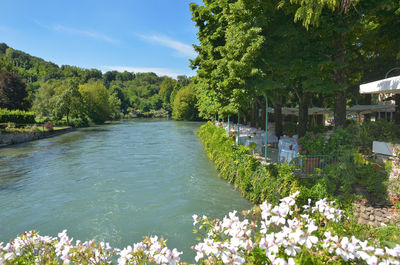 Scenic view of river amidst trees against sky