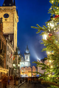 Illuminated christmas tree by buildings at night